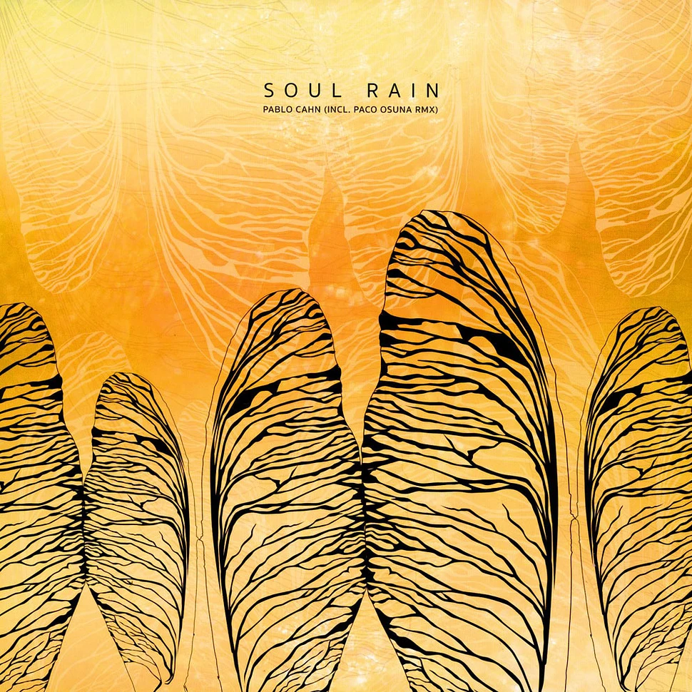 Pablo Cahn-Speyer - Soul Rain