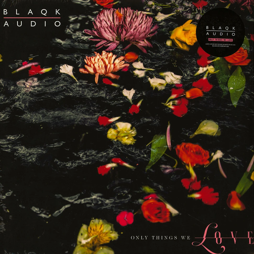 Blaqk Audio - Only Things We Love Water Picture Disc Edition
