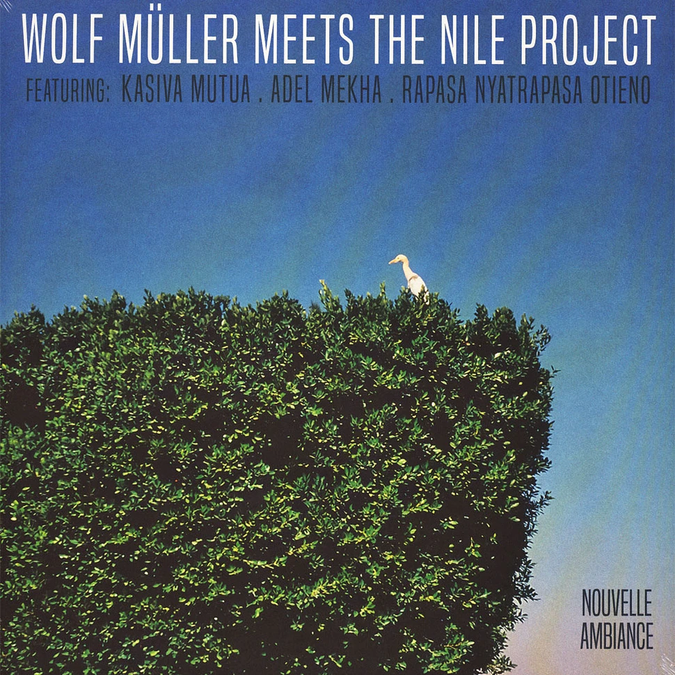 Wolf Müller Meets The Nile Project - Wolf Müller Meets The Nile Project