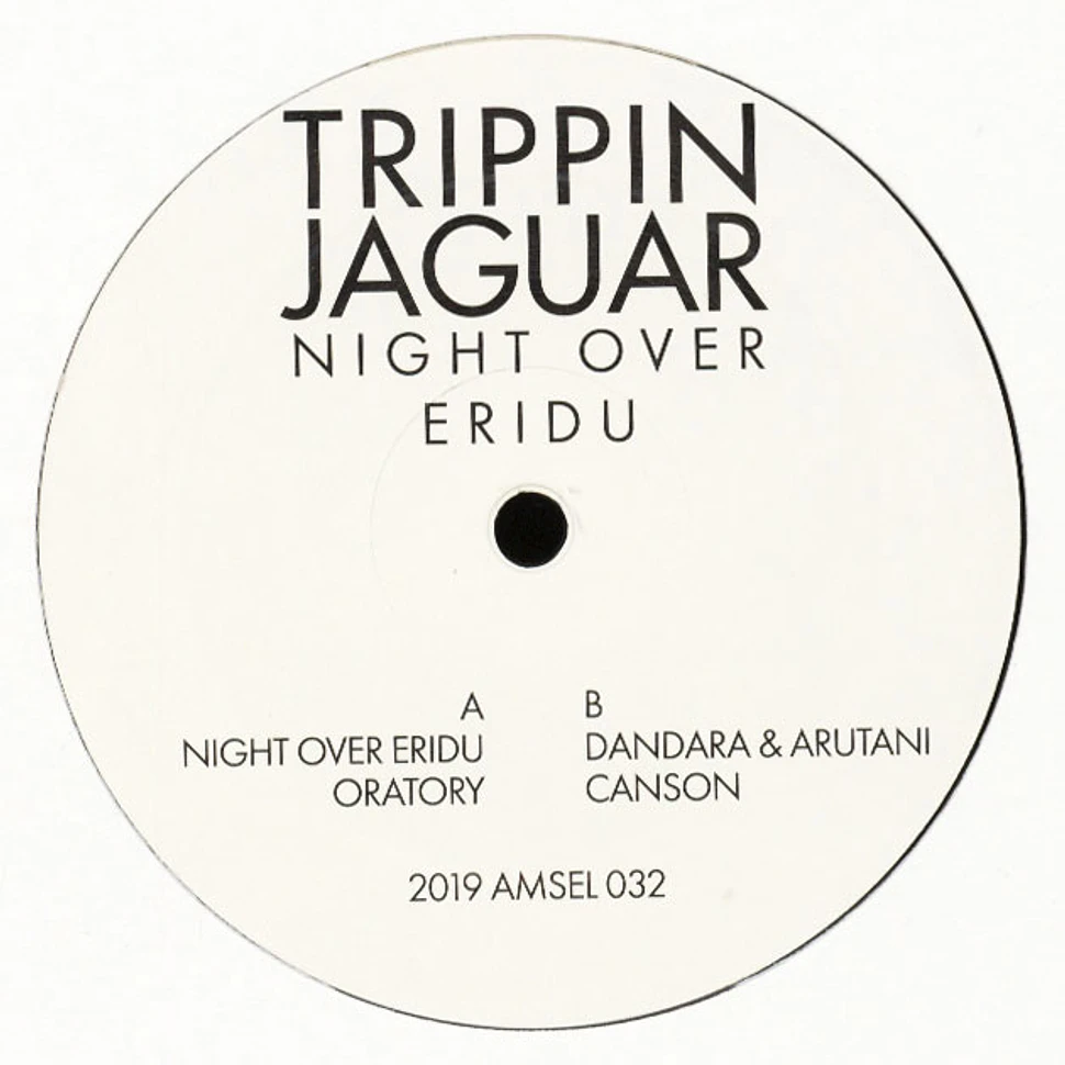 Trippin Jaguar - Night Over Eridu