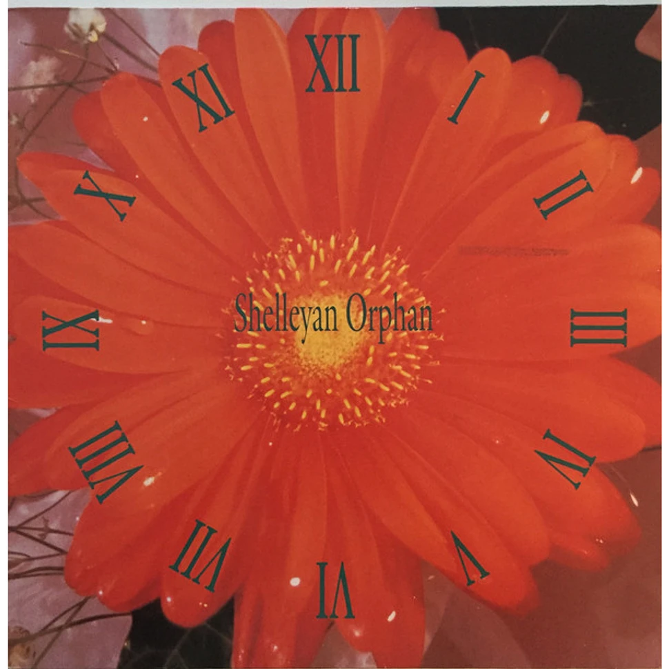 Shelleyan Orphan - Century Flower