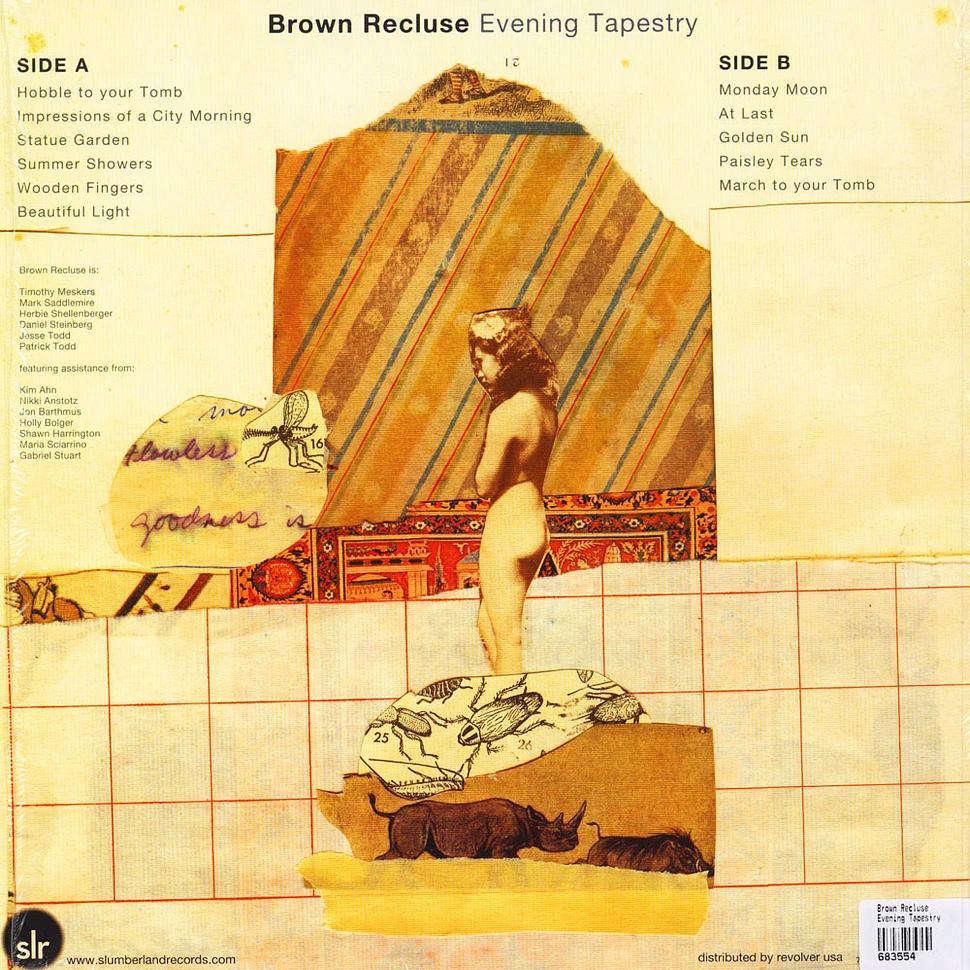 Brown Recluse - Evening Tapestry