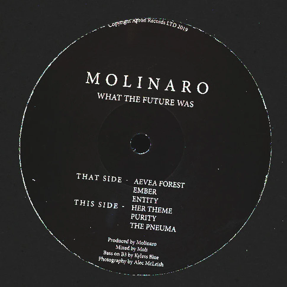 Molinaro - What The Future Was