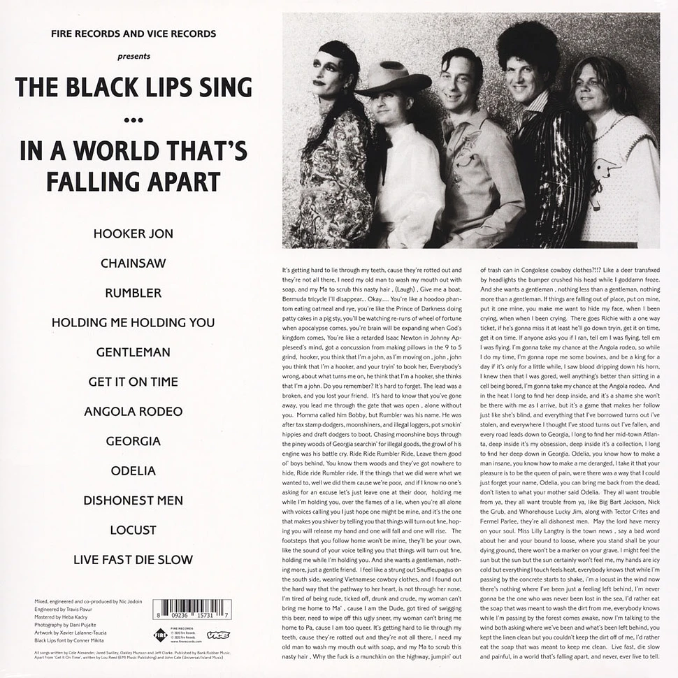 Black Lips - Sing In A World That's Falling Apart