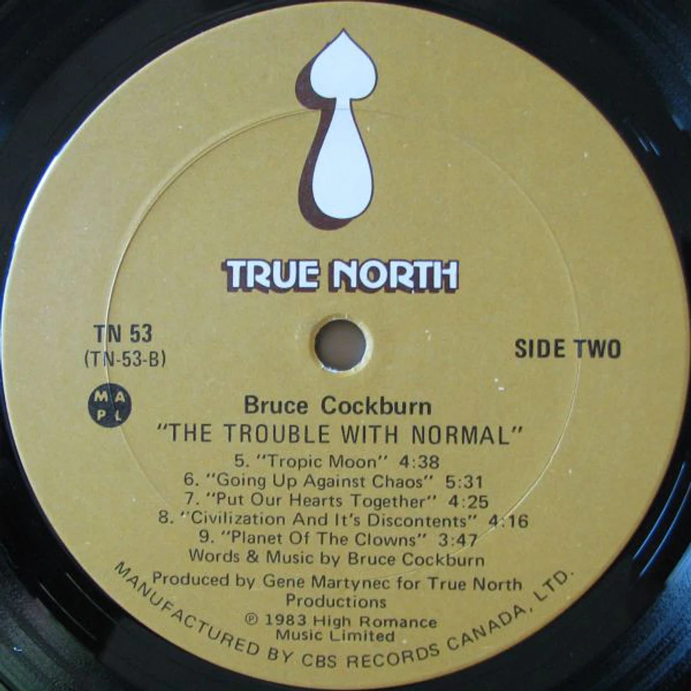 Bruce Cockburn - The Trouble With Normal