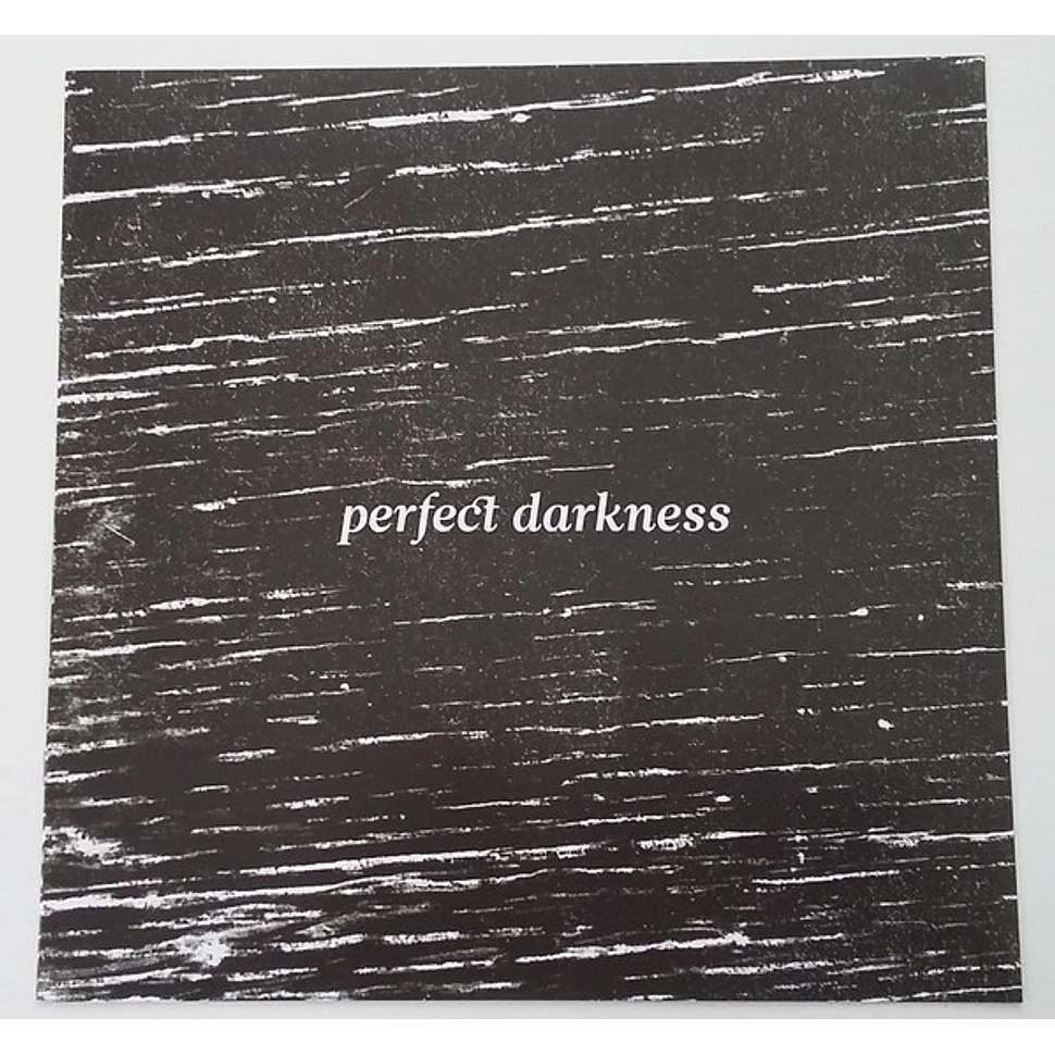 Fink - Perfect Darkness