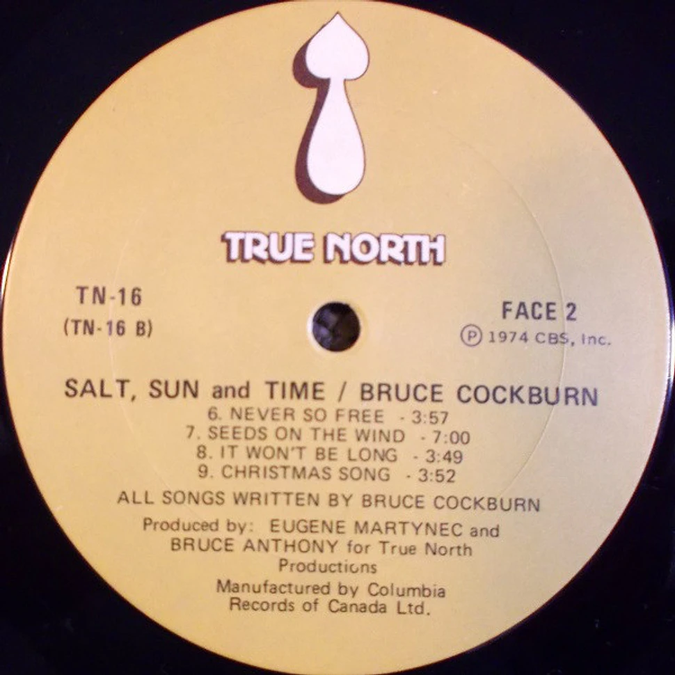 Bruce Cockburn - Salt, Sun And Time