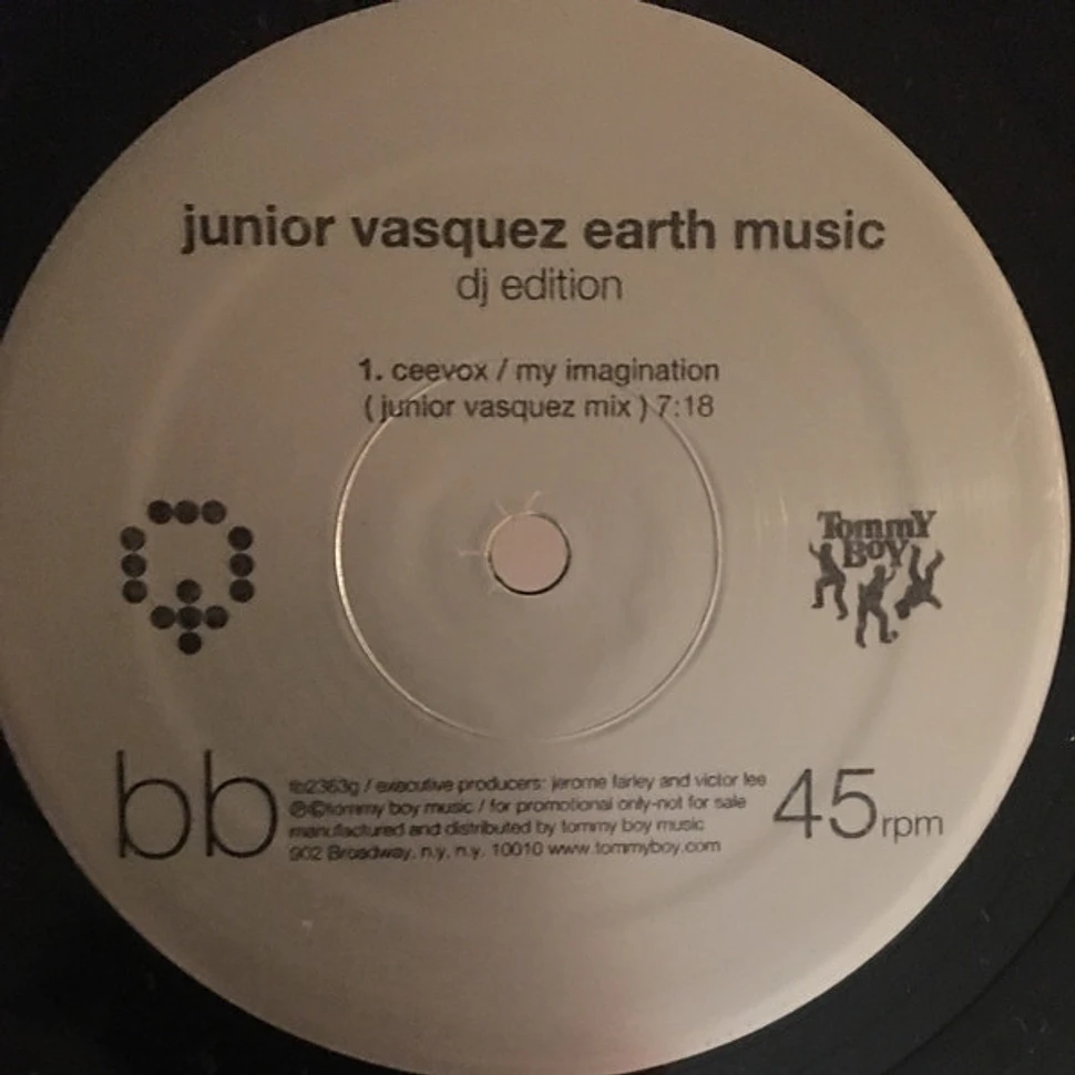 V.A. - Earth Music (DJ Edition)