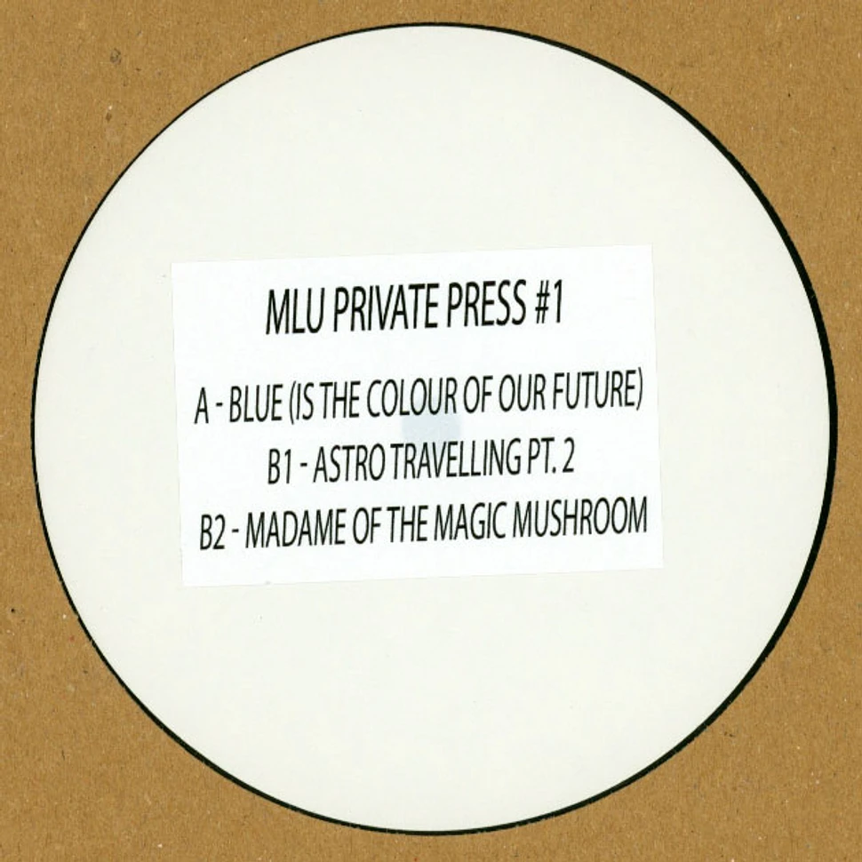 Mount Liberation Unlimited - Mlu Private Press #1