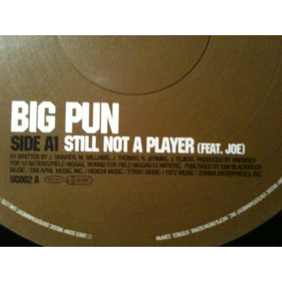 Big Punisher / Cam'ron - Still Not A Player / Horse & Carriage