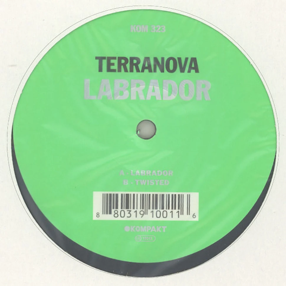 Terranova - Labrador