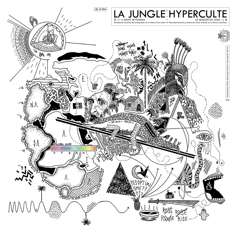 Hyperculte / La Jungle - Split