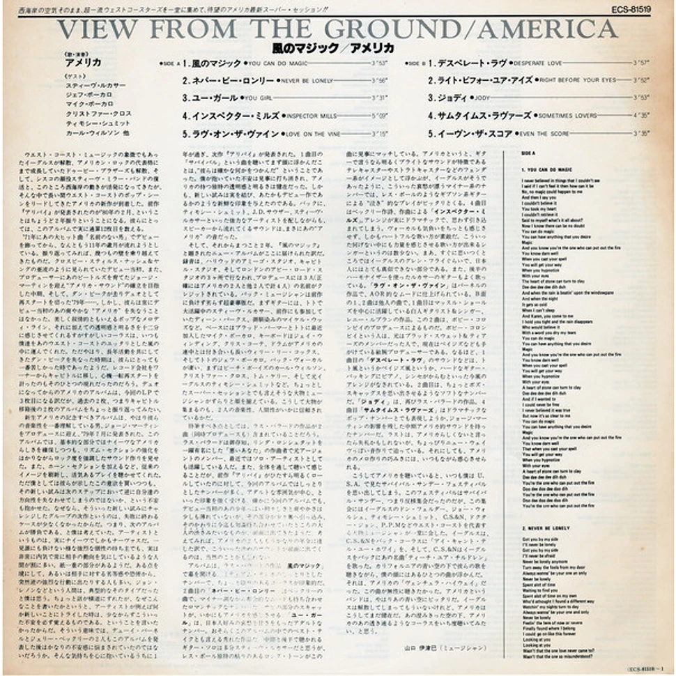 America - View From The Ground
