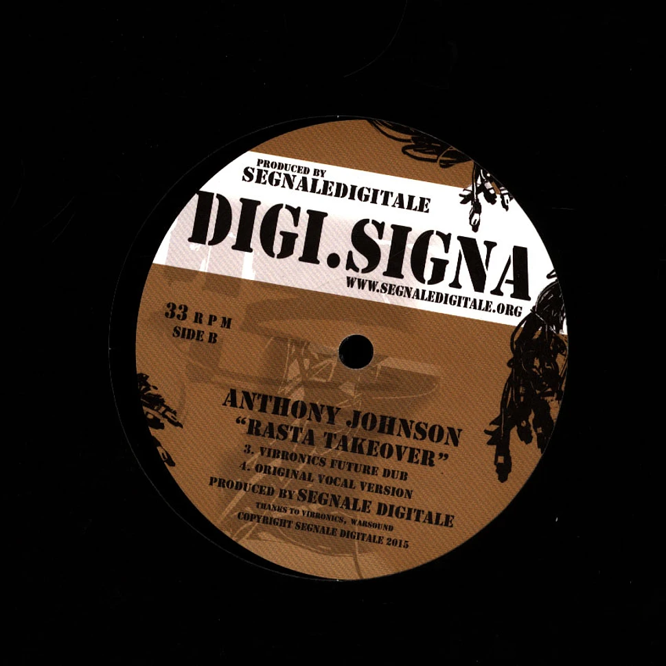 Anthony Johnson, Vibronics - Rasta Takeover, Dub / Future Dub, Vocal Cut
