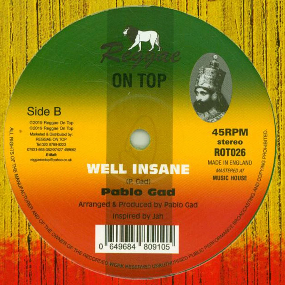 Pablo Gad - Fly Away Home / Well Insane - Vinyl 12