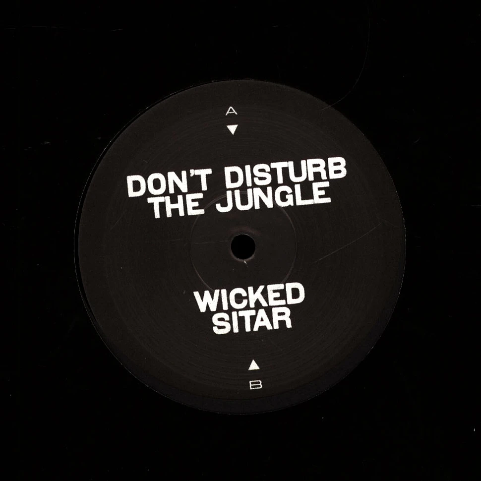 Kaval - Don't Disturb The Jungle / Stacktrace