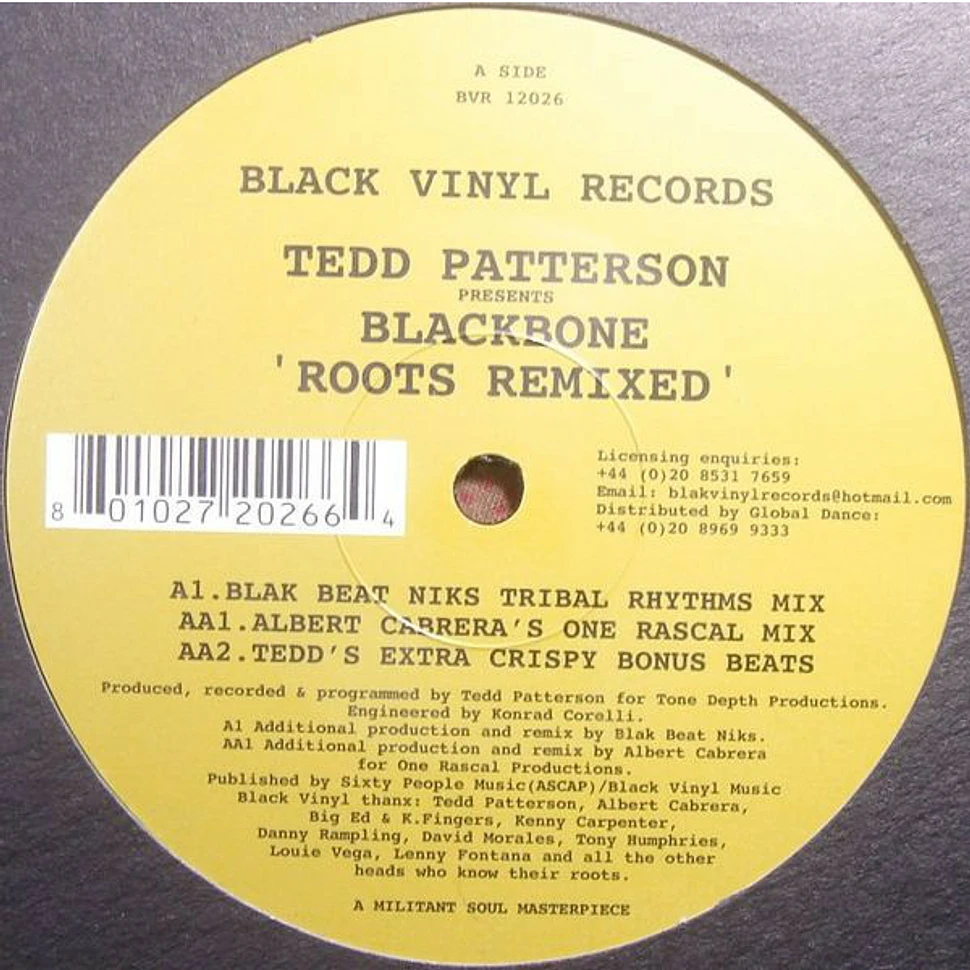 Tedd Patterson Presents Blackbone - Roots Remixed