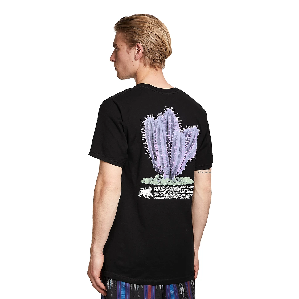 Stüssy - Desert Bloom Tee