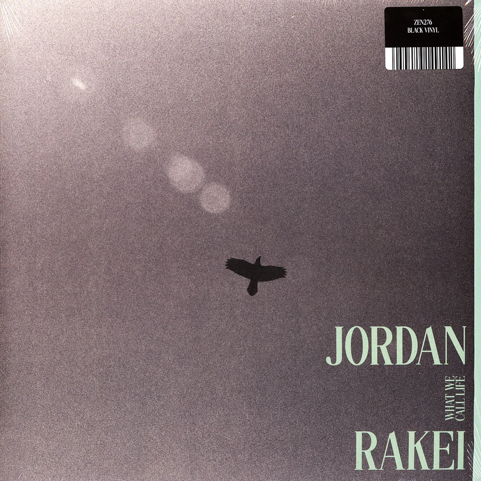 Jordan Rakei - What We Call Life Black Vinyl Edition