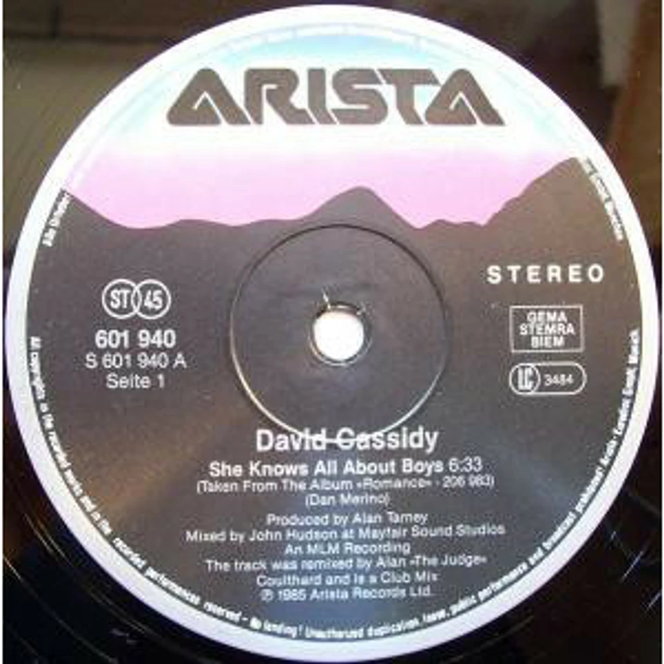 David Cassidy - She Knows All About Boys