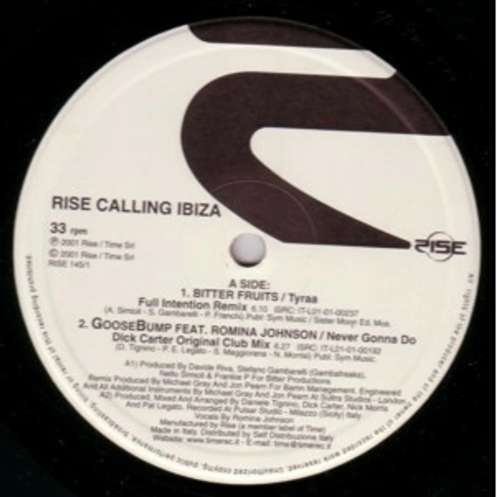 V.A. - Rise Calling Ibiza Sessione 2