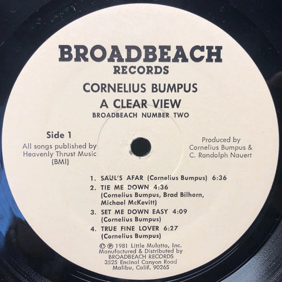 Cornelius Bumpus - A Clear View