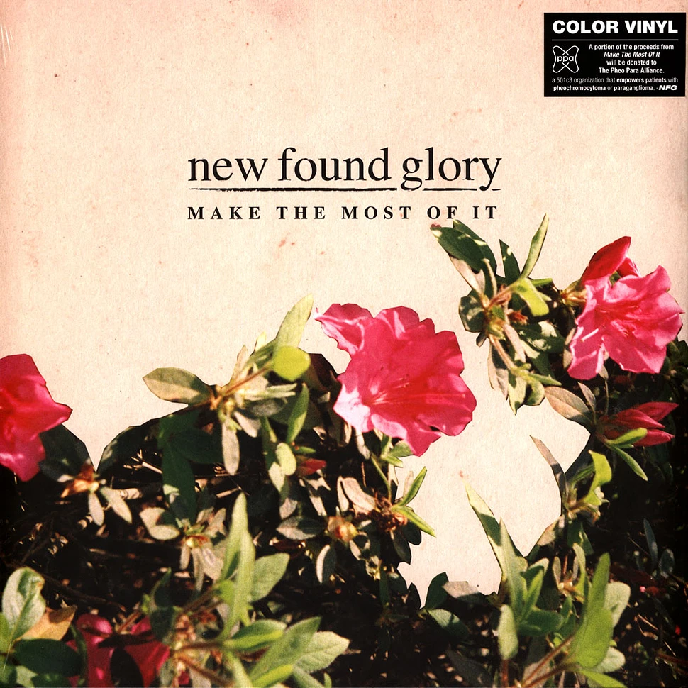 New Found Glory - Make The Most Of It Clear Vinyl Edition