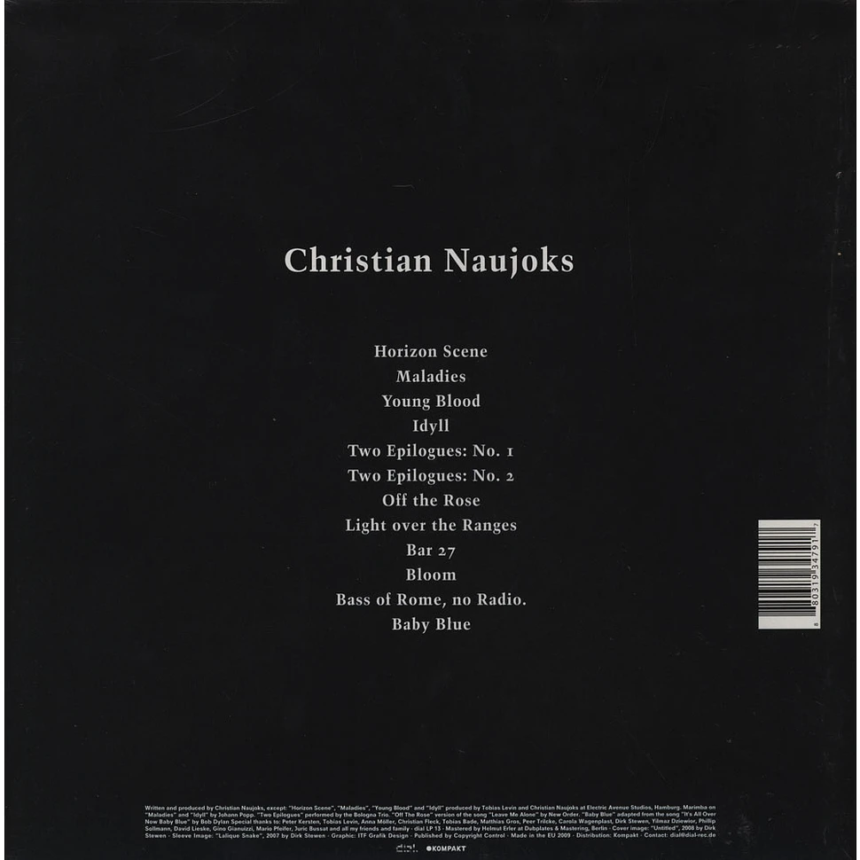 Christian Naujoks - Untitled