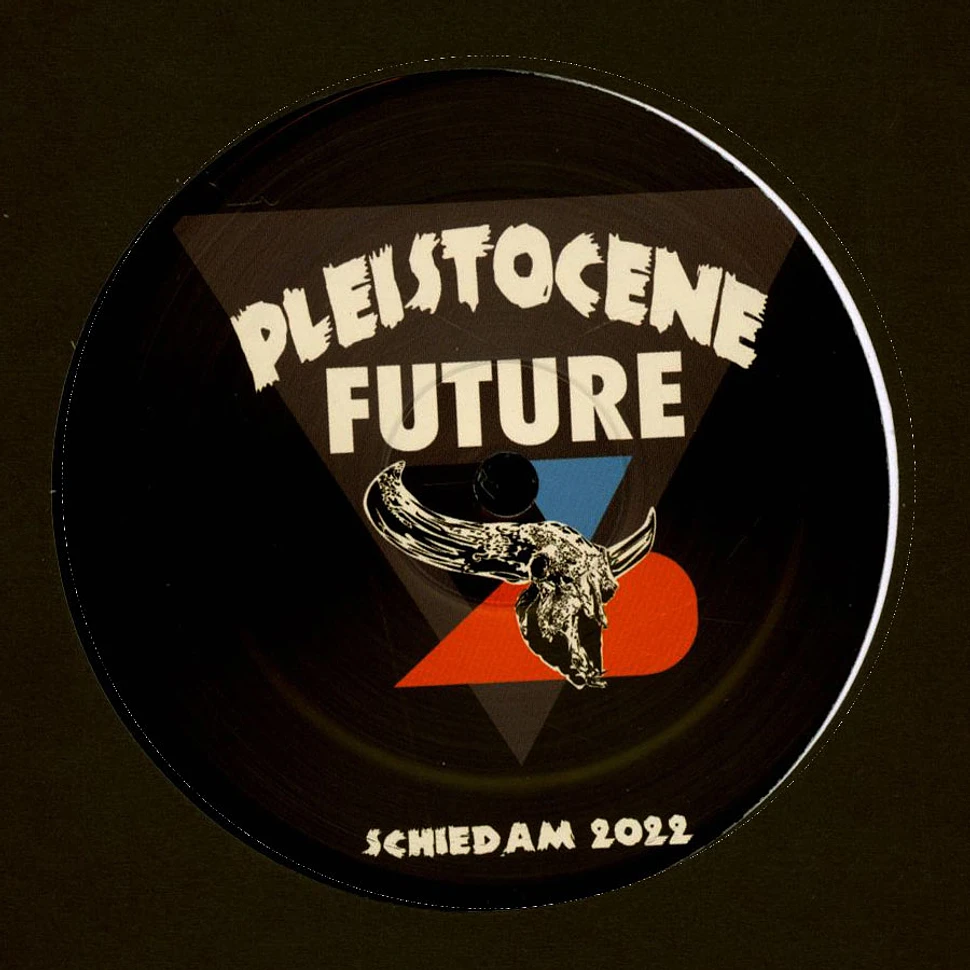 Bas Mooy - Pleistocene Future 2