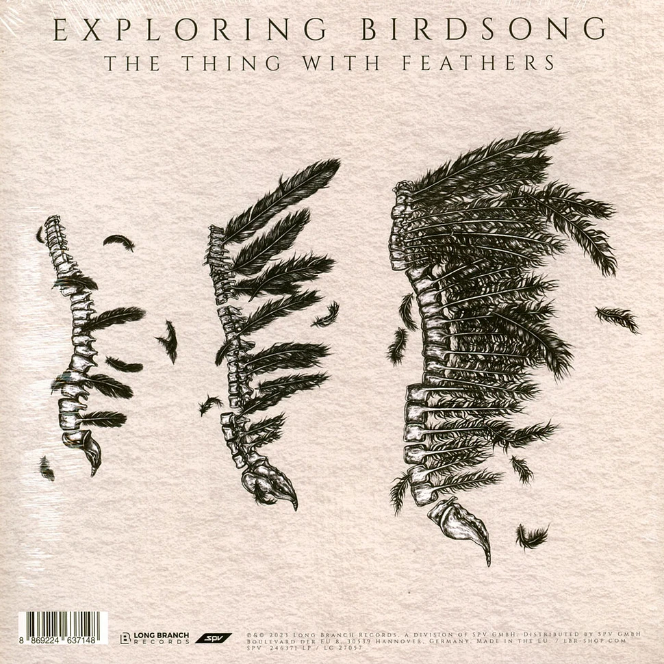 Exploring Birdsong - Dancing In The Face Of Danger / The Thing With Fea
