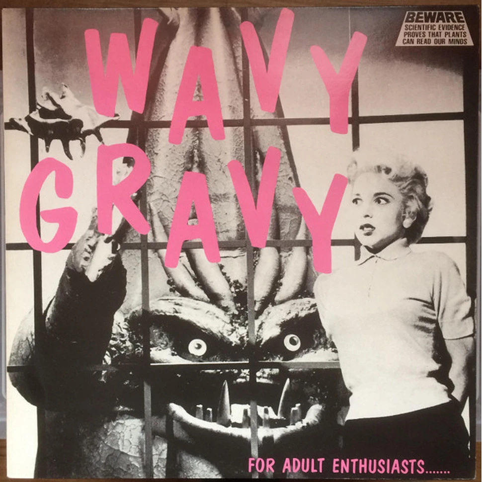 V.A. - Wavy Gravy - For Adult Enthusiasts.......