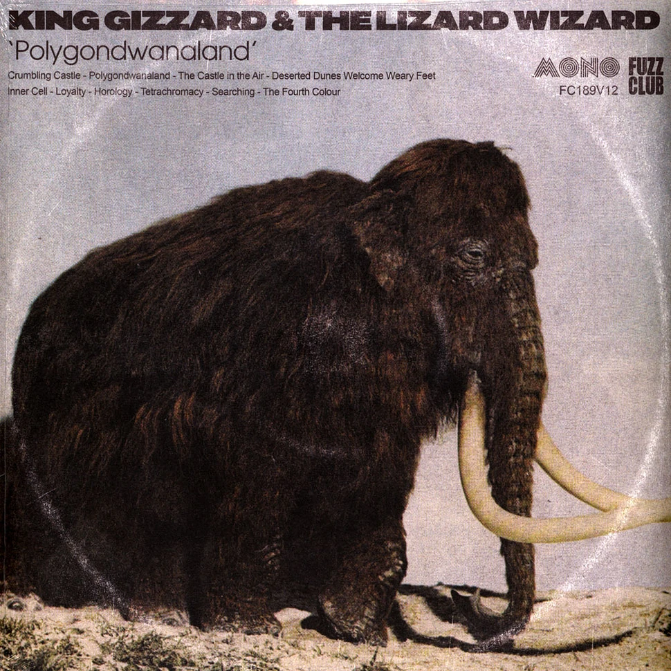 King Gizzard & The Lizard Wizard - Polygonwanaland Mono Edition