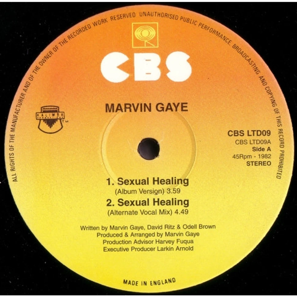 Marvin Gaye Sexual Healing Vinyl 12 1982 Uk Original Hhv 1999