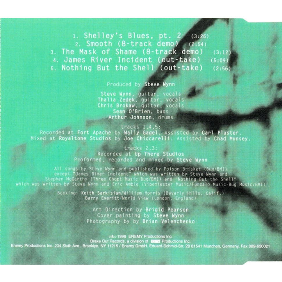 Steve Wynn - Shelley's Blues Pt. 2