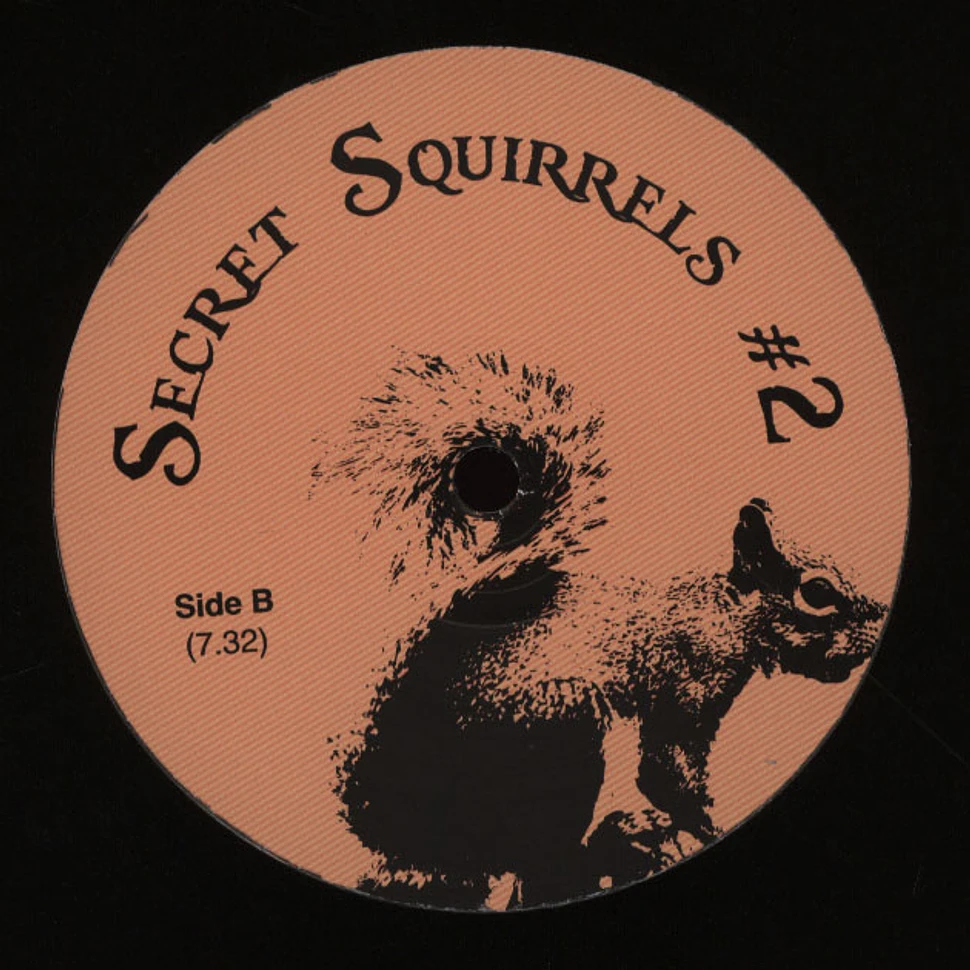 Secret Squirrel - Secret Squirrels #2