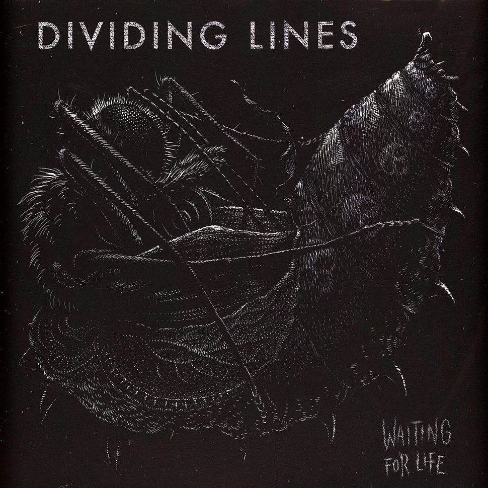 Dividing Lines - Waiting For Life