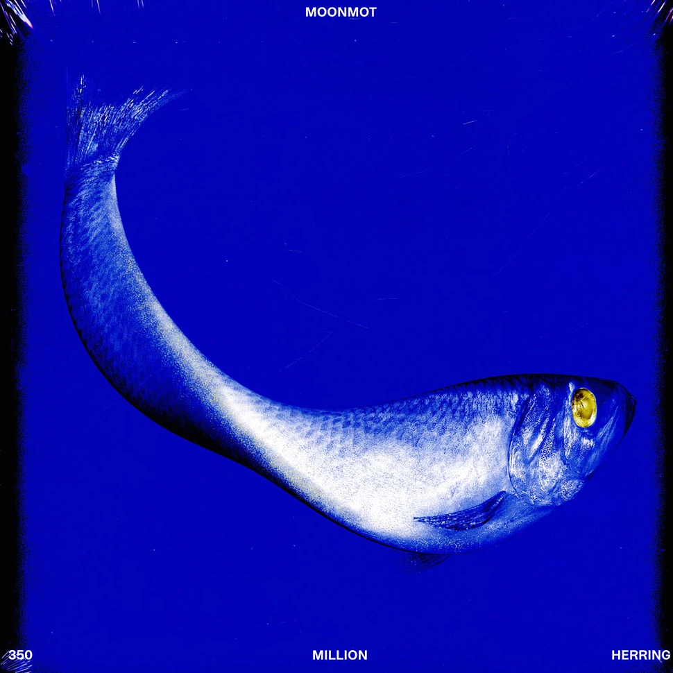 Moonmot - 350 Million Herring Black