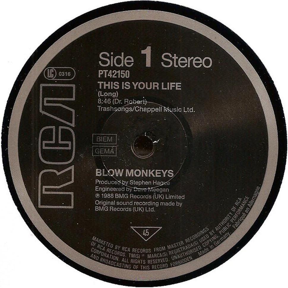 The Blow Monkeys - This Is Your Life