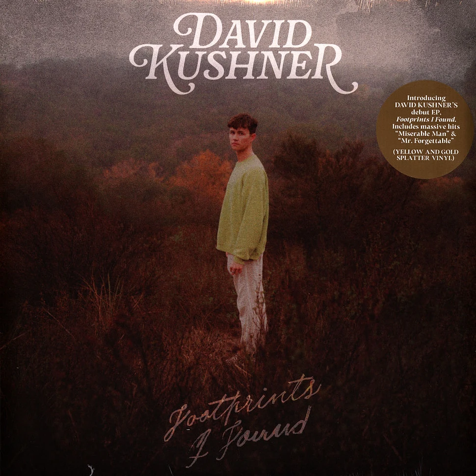 David Kushner - Footprints I Found