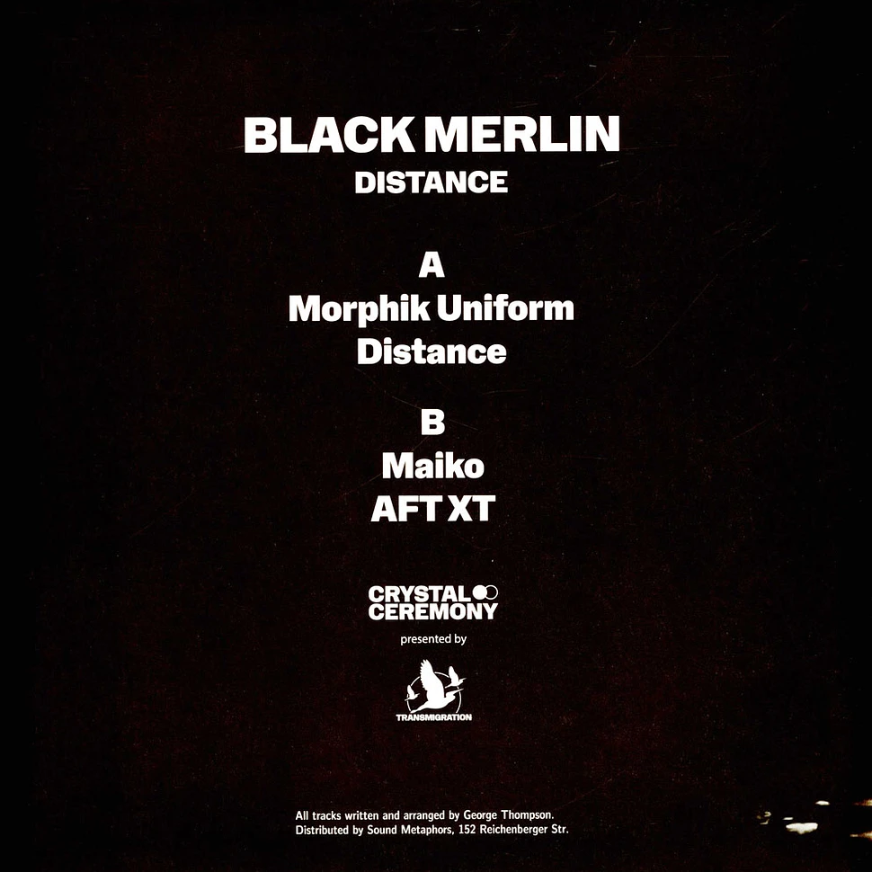 Black Merlin - Distance