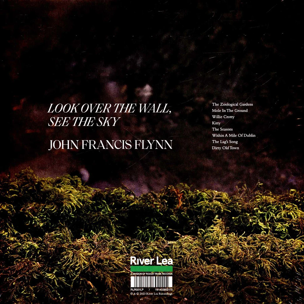 John Francis Flynn - Look Over The Wall See The Sky