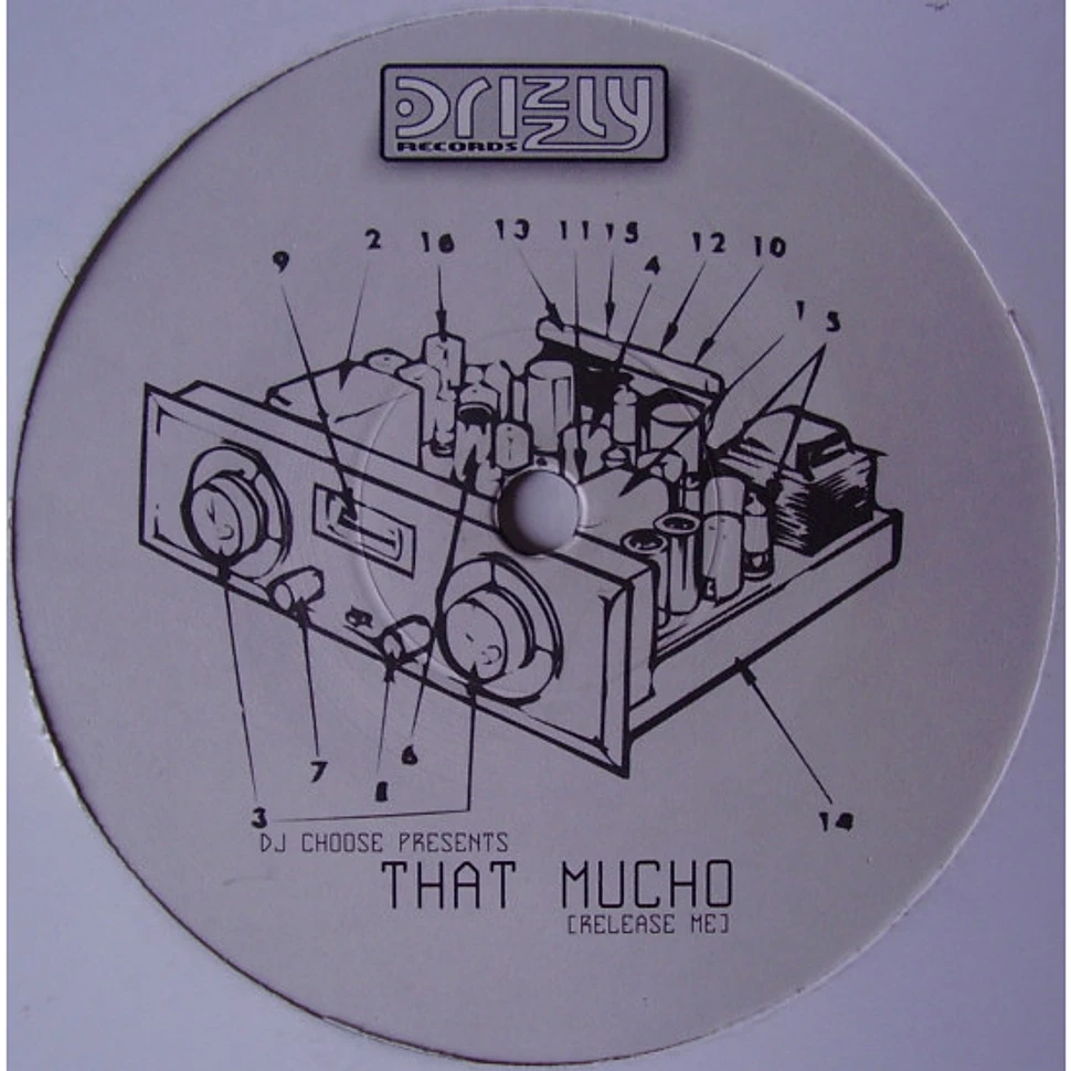 DJ Choose Presents That Mucho - Release Me