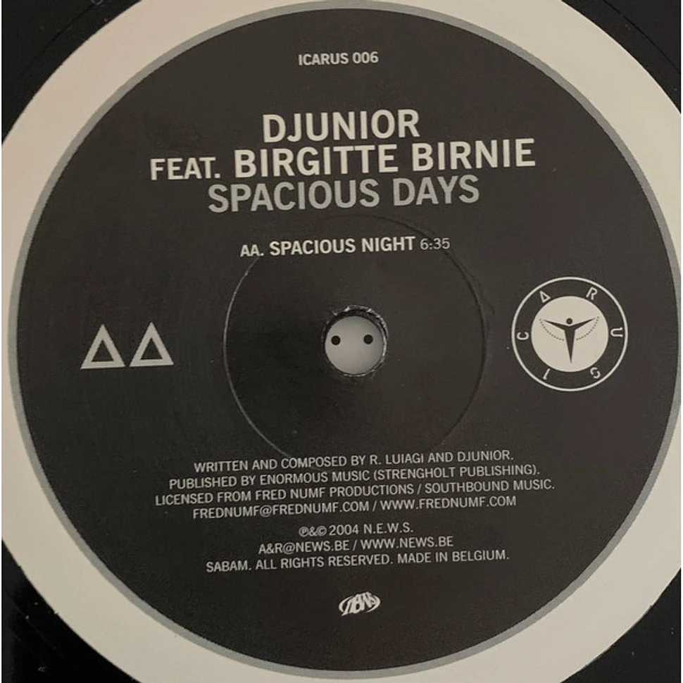 Djunior Feat. Birgitte Birnie - Spacious Days