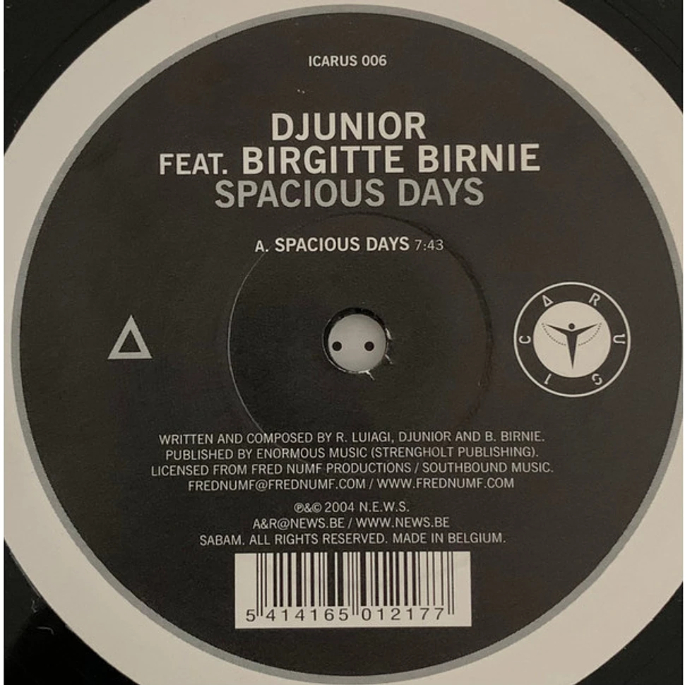 Djunior Feat. Birgitte Birnie - Spacious Days