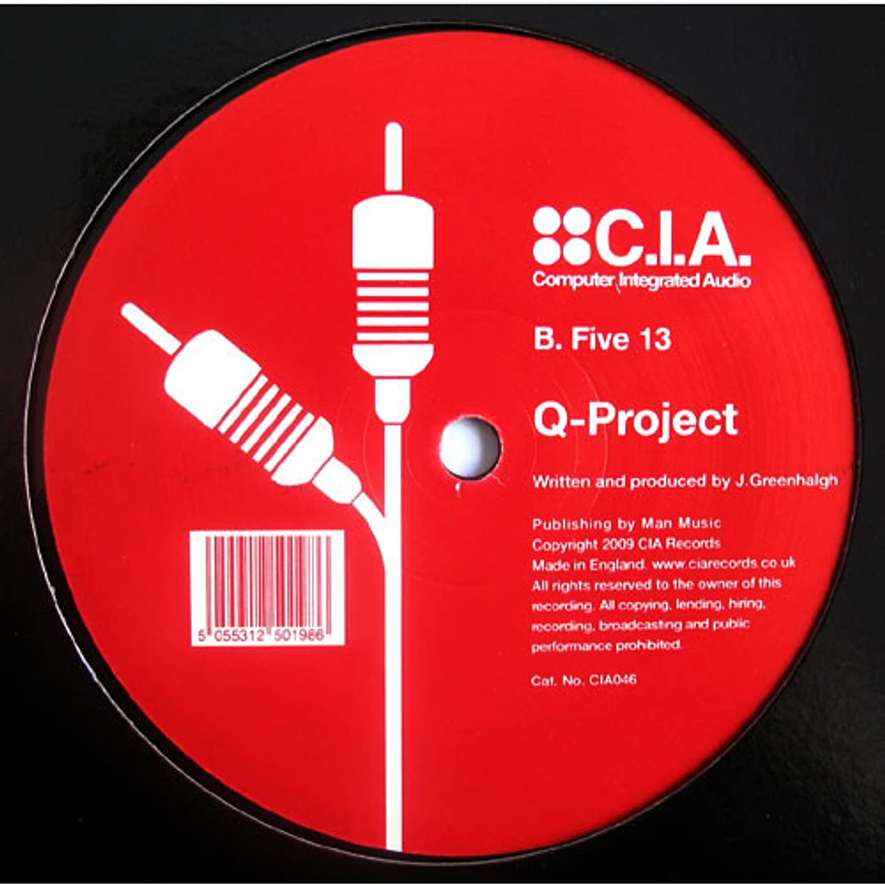 Q Project - In 2 Deep