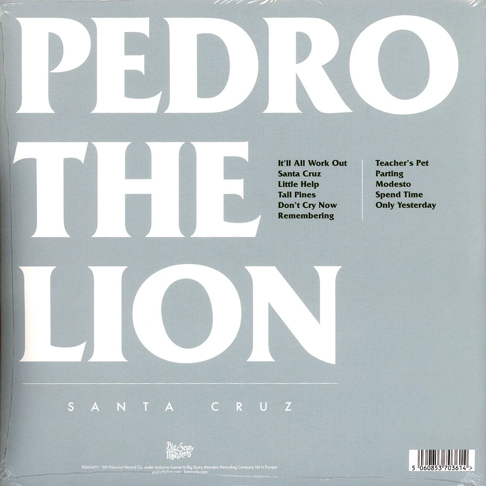 Pedro The Lion - Santa Cruz Green Sunburst 12