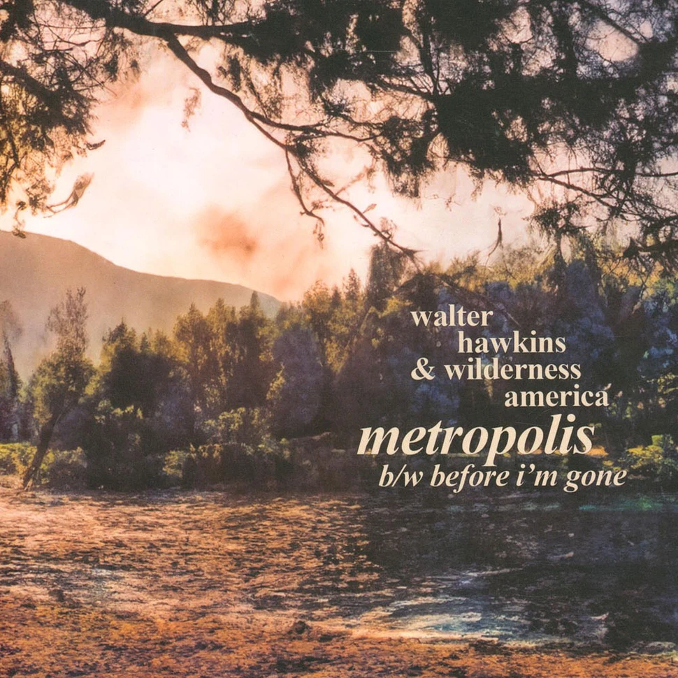 Walter Hawkins & Wilderness America - Metropolis