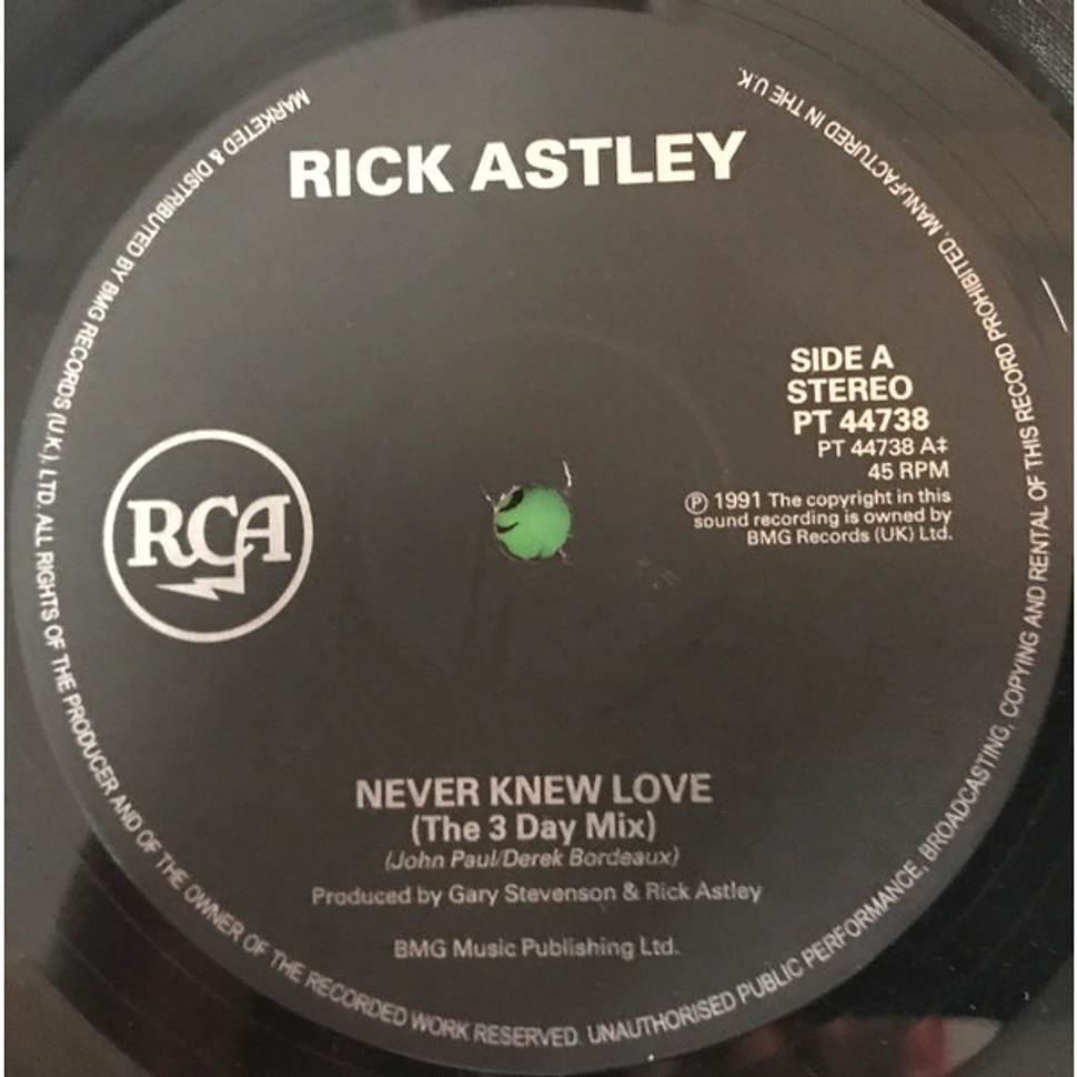 Rick Astley - Never Knew Love