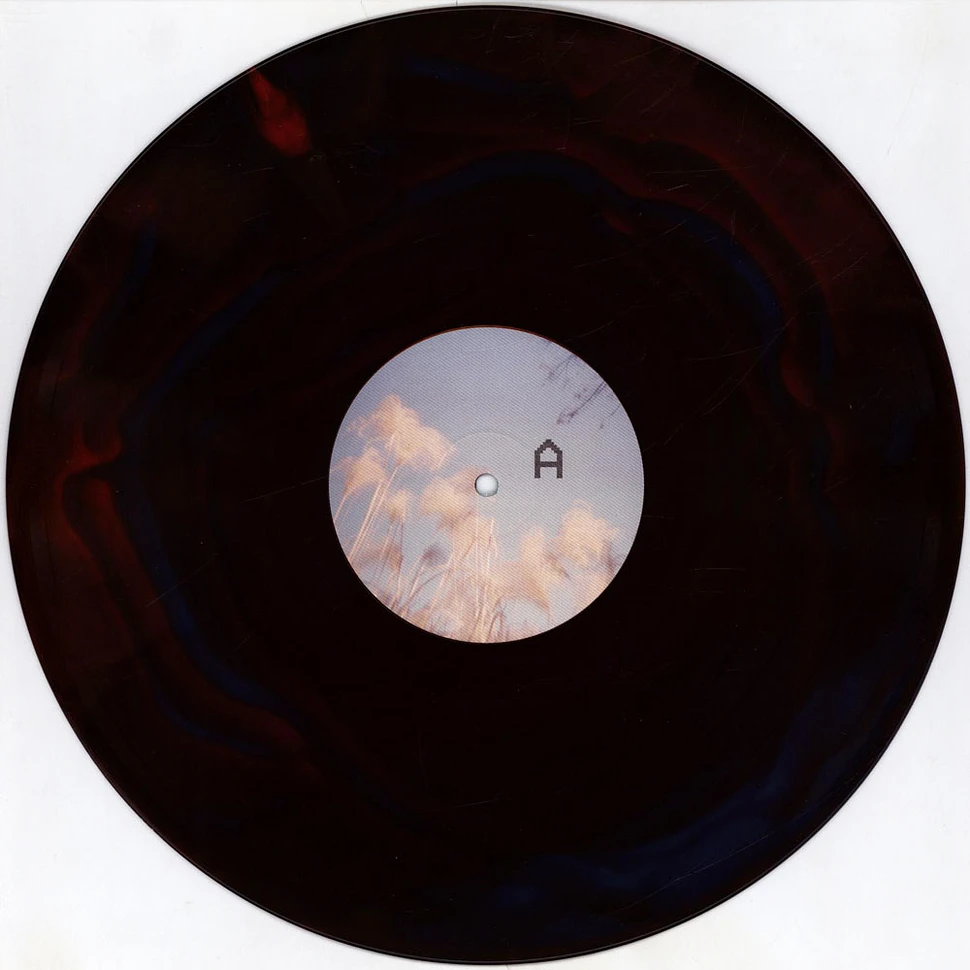 Kal Marks - Wasteland Baby Sea Blue And Apple Red Mix Vinyl Edition