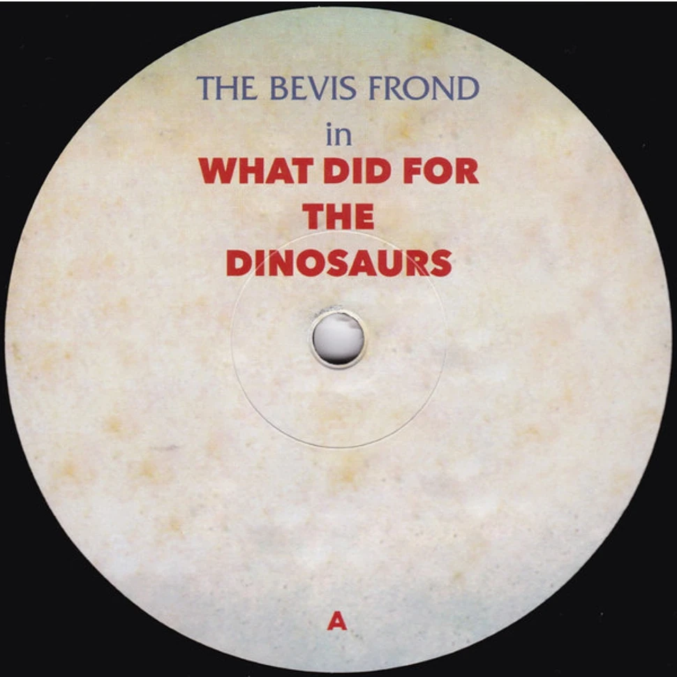 The Bevis Frond - What Did For The Dinosaurs